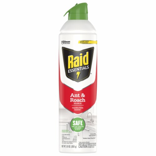 Raid® Essentials Ant and Roach Killer Aerosol Perspective: front
