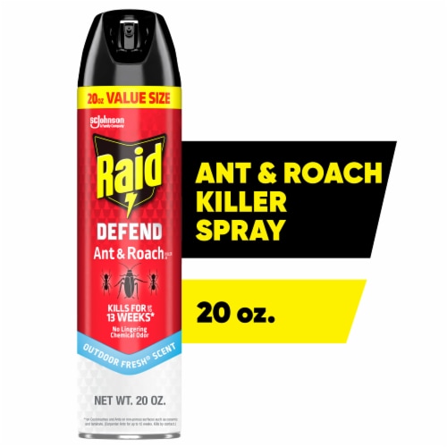 Raid Defend Ant & Roach Killer, Indoor Insecticide, Residual Killing Power, Outdoor Fresh Scent Perspective: front