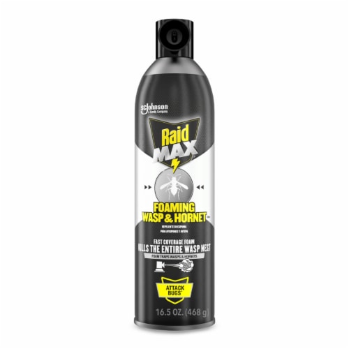Raid Max® Foaming Wasp and Hornet Repellent Spray Perspective: front