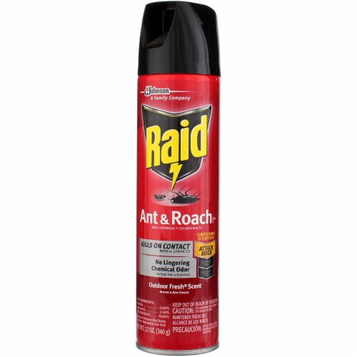 Raid Ant & Roach Killer Aerosol Outdoor Fresh, 12 oz Perspective: front