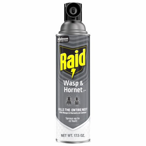 Raid Wasp & Hornet Killer, Outdoor Flying Insect Spray, 17.5 oz Perspective: front