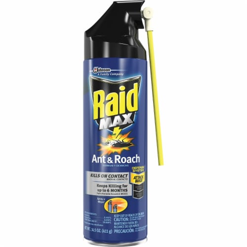 Raid Max Ant And Roach Insecticide 14 5 Oz City Market