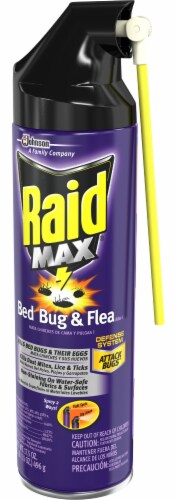 Raid Max Bed Bug And Flea 17 5