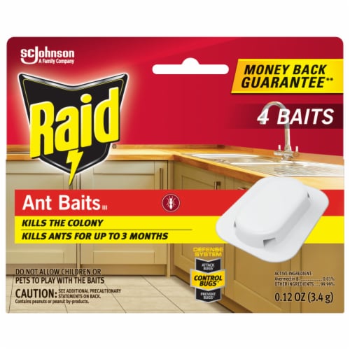 Raid Ant Baits Indoor Ant Killer, 4 Baits, 0.12 oz Total Perspective: front