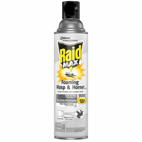 Raid® Max Foaming Wasp & Hornet Killer Perspective: front