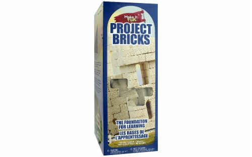 Make It Fun: Project Bricks 300/Pkg- Perspective: front