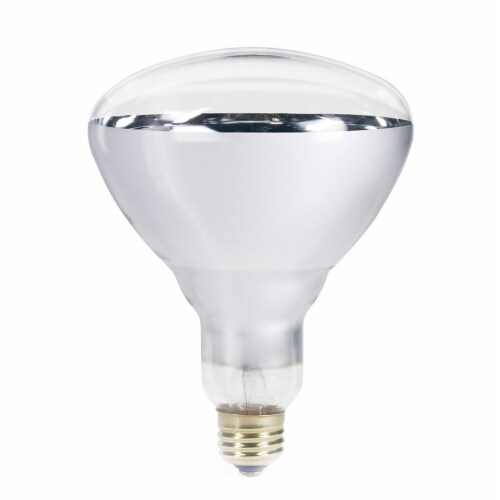Philips BR40 Heat Lamp 250-watt Incandescent 2700 K Light Bulb Perspective: front