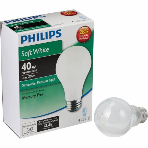 40 watt online a19 incandescent bulb