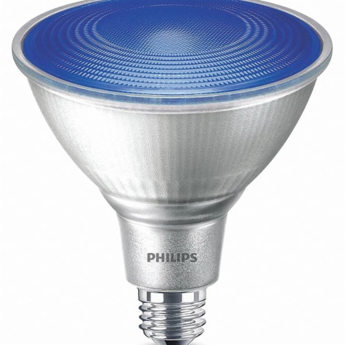 Luske Elektrisk Trin Philips 13.5 Watt Party LED Blue Light Floodlight, 1 ct - Fry's Food Stores