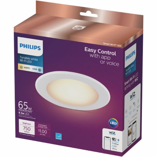 Philips wifi cheap recessed light