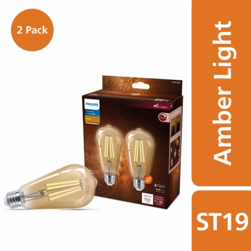 Philips 8.8-Watt (75-Watt) Medium Base ST19 Vintage LED Light Bulbs Perspective: front