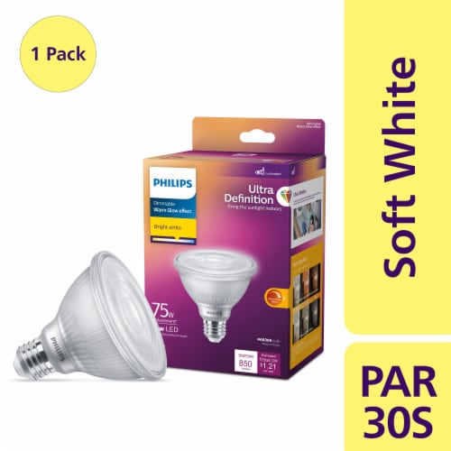 Par30 online bulb definition