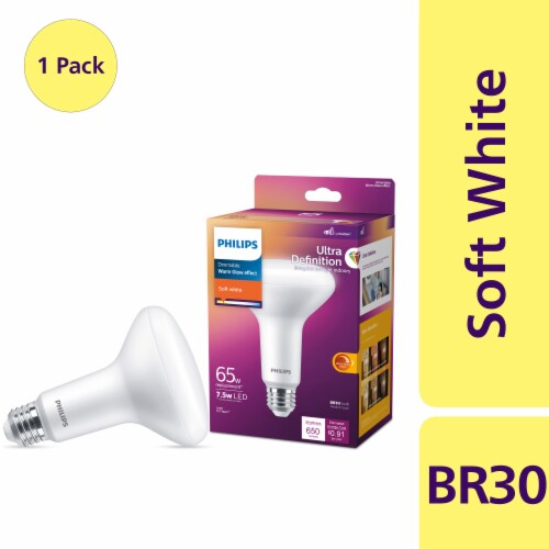Philips 7.5-Watt (65-Watt) BR30 Reflector LED Dimmable Flicker Free Light Bulb - Soft White (2700K) Perspective: front