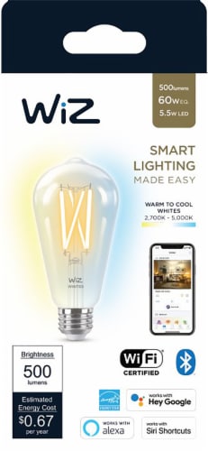 WiZ LED 500 Lumens Vintage Smart Light Bulb Perspective: front