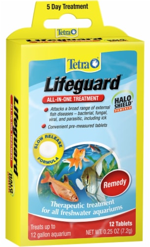 Tetra Lifeguard All-in-One Treatment Perspective: front