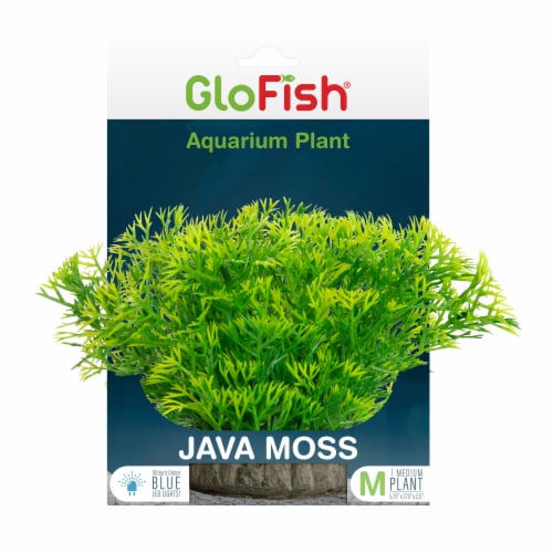 GloFish Javamoss Plant Perspective: front