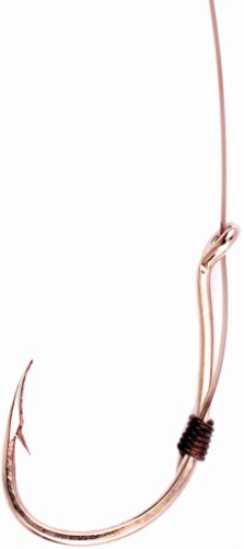 Eagle Claw Lazer Sharp Red Hook Perspective: front