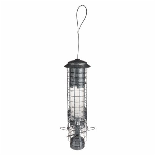 Audubon NA32431 Dragonfly Squirrel-Resistant Tube Bird Feeder Perspective: front