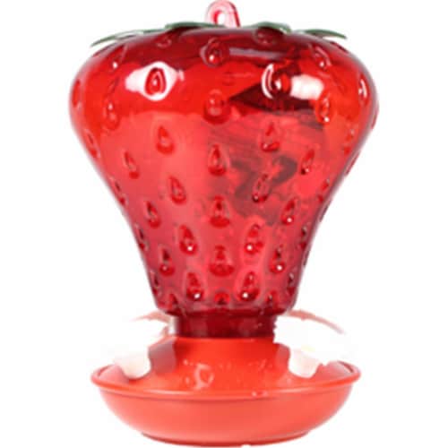 Audubon-Woodlink Strawberry Hummingbird Feeder 40 Oz., Red Perspective: front