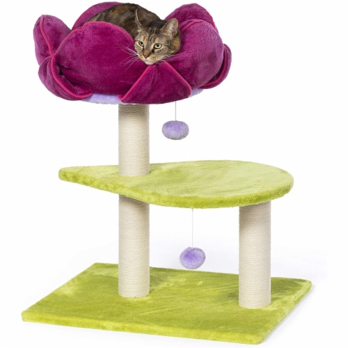 Prevue cat products cheap