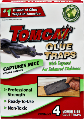 Tomcat Glue Traps Captures Mice Perspective: front