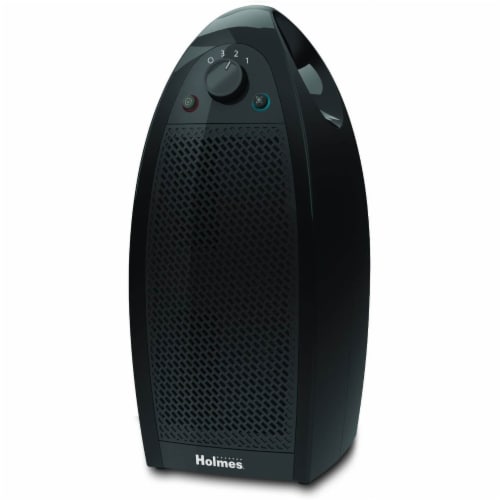 Holmes air on sale cleaner filters