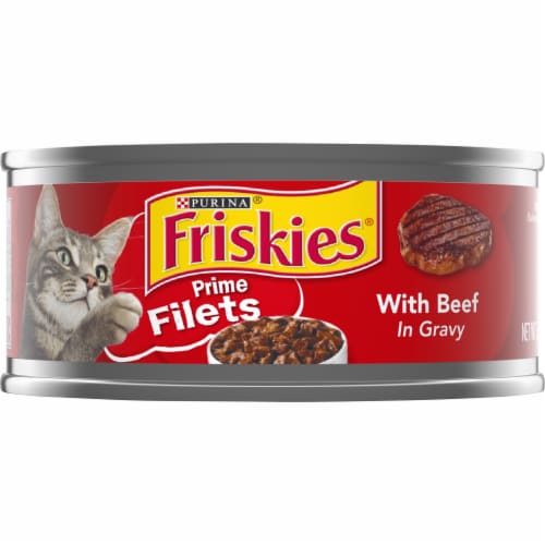 Purina Friskies Prime Filets Wet Cat Food in Gravy Beef Perspective: front