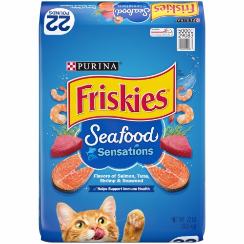 Purina Friskies Seafood Sensations Adult Dry Cat Food Seafood Flavors Perspective: front