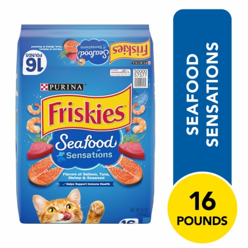 Purina® Friskies® Seafood Sensations® Dry Adult Cat Food Perspective: front