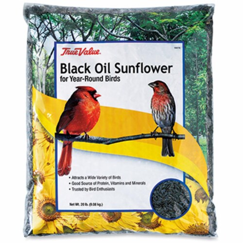 JRK Seed & Turf Supply 106363 True Value 20 lbs Sunflower Bird Seed Perspective: front