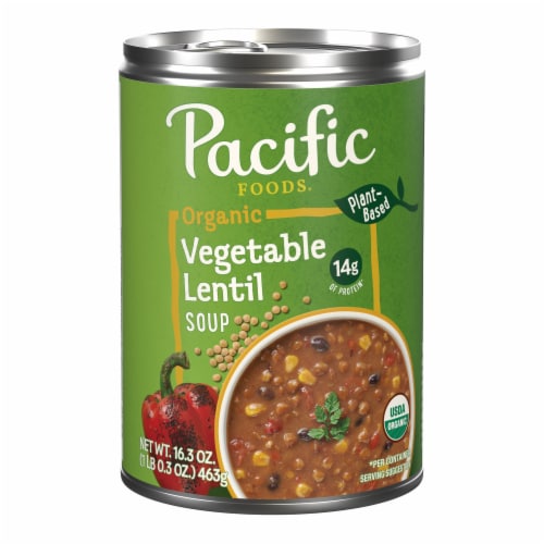 Pacific Foods® Organic Vegetable Lentil Soup Vegan Soup Perspective: front