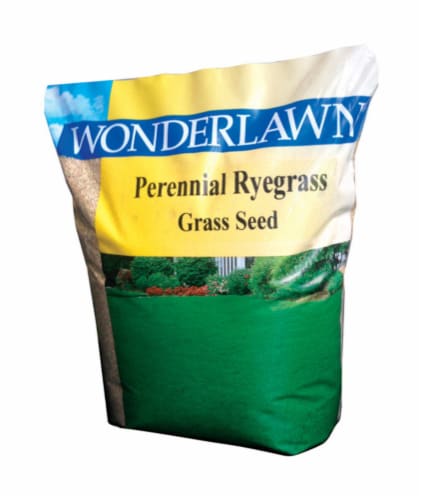 Barenbrug Wonderlawn Perennial Ryegrass Partial Shade/Sun Grass Seed 10 lb