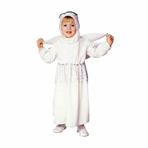 Angel Dress With Wings Costume Perspective: front