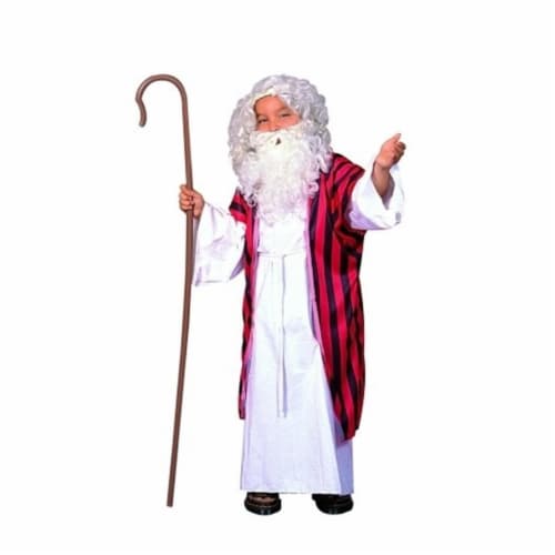 RG Costumes 90184-S Moses Costume - Size Child Small 4-6 Perspective: front