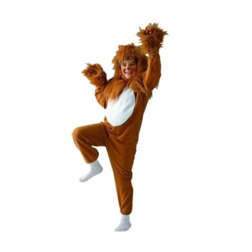 RG Costumes 90051-M Lion Costume - Size Child Medium 8-10 Perspective: front