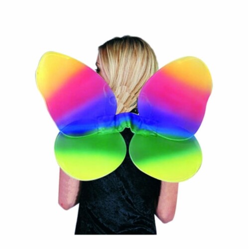 RG Costumes  Rainbow Wings Costume - Size Child Perspective: front