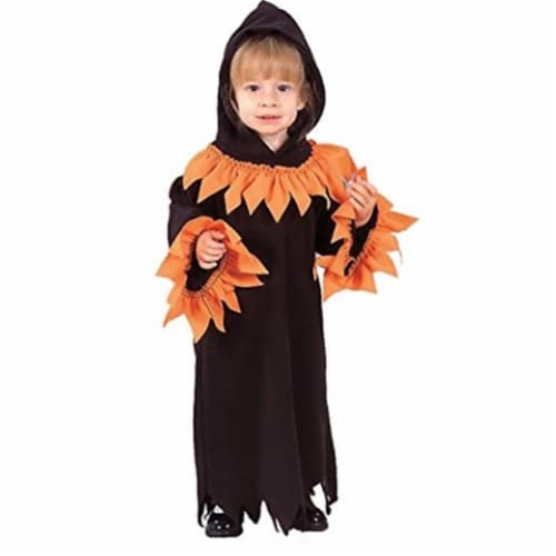 RG Costumes 70061-T Fairytale Witch- Toddler Perspective: front