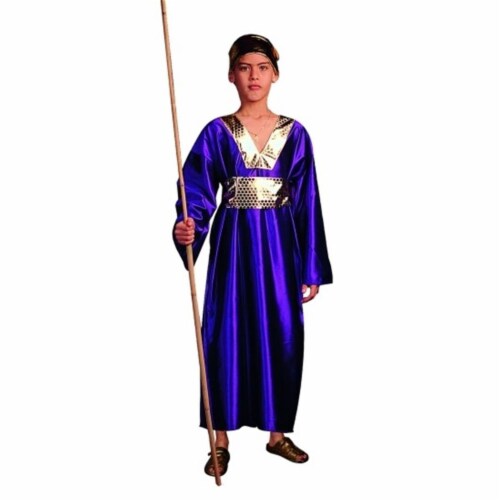 RG Costumes 90181-L Wiseman Costume - Purple - Size Child Large 12-14 Perspective: front
