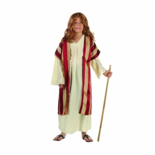 RG Costumes 90284-L Deluxe Moses Costume - Size Child Large 12-14 Perspective: front