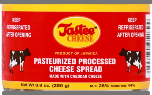 Tastee™ Cheese Pasteurized Processed Cheese Spread Perspective: front