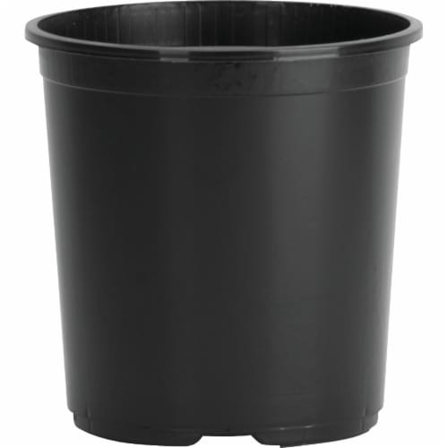 The HC Companies Squat Nursery Black Container Perspective: front
