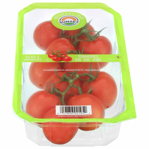 Sunset® Red Tomatoes on the Vine Perspective: front