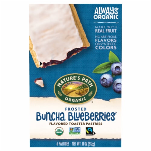 Nature's Path Organic Frosted Buncha Blueberries Toaster Pastries Perspective: front
