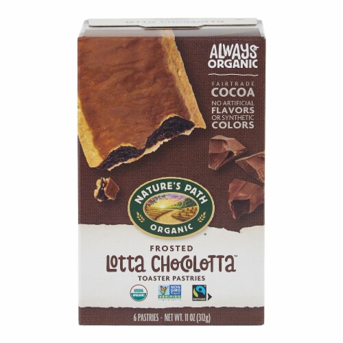 Nature's Path Organic® Lotta Chocolatta™ Frosted Toaster Pastries Perspective: front