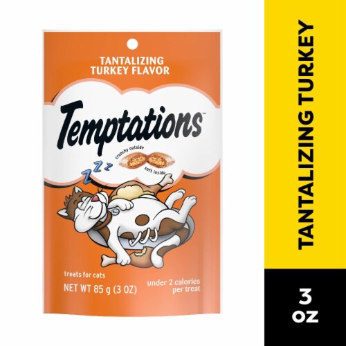 Temptations Classic Tantalizing Turkey Flavor Crunchy and Soft Adult Cat Treats Perspective: front