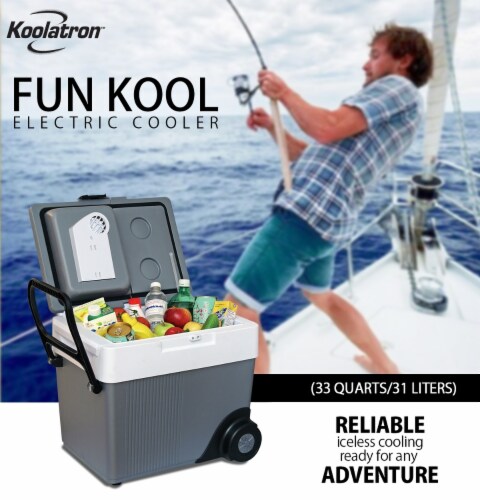 Koolatron 12V AC Powered Split Cooler Perspective: front