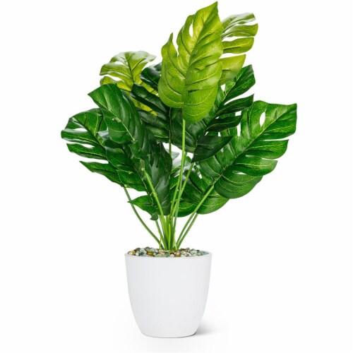 Abbott Collection AB-27-BOTANY-049-02 16 in. Monsterra Leaf Plant, Green - Large Perspective: front