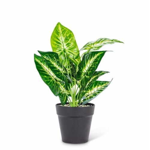 Abbott Collection AB-27-BOTANY-017-01 16 in. Variegated Leaf Plant, Green - Large Perspective: front