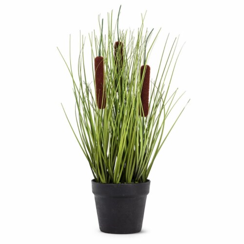 Abbott Collection AB-27-SAVANNAH-002 12 in. Cattail Grass in Pot, Green & Brown Perspective: front