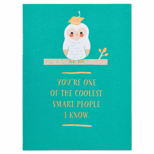 American Greetings (S4) Owl - Graduation Card Perspective: front